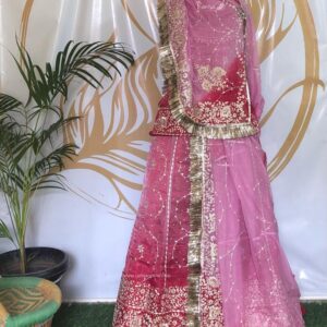 Pink Shaded Avani Rajputi Poshak